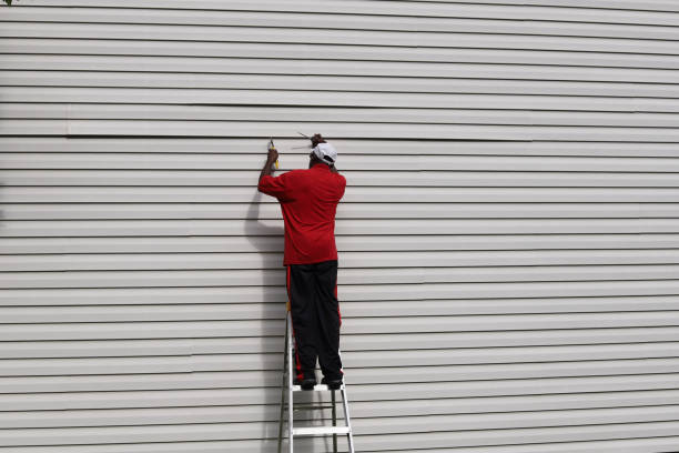 Best Siding Painting and Refinishing  in Miami Springs, FL