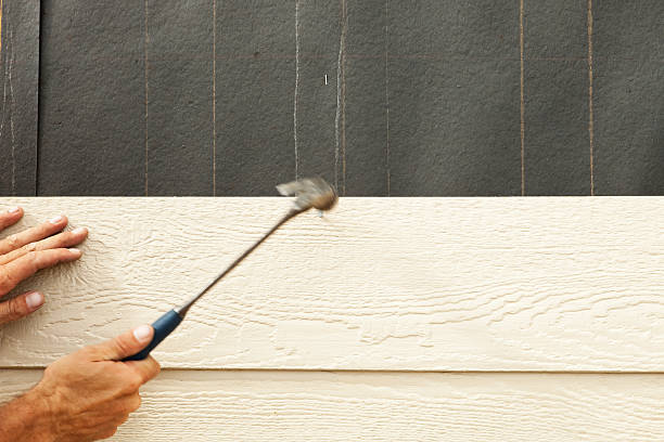 Best Siding Painting and Refinishing  in Miami Springs, FL